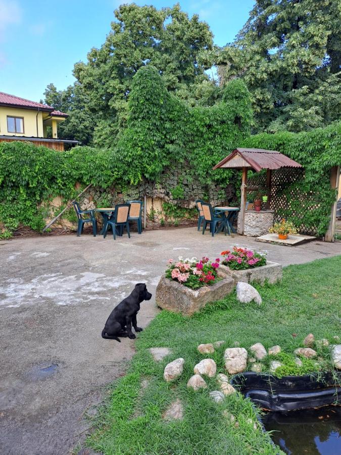 Къща За Гости -Хт Szvilengrad Kültér fotó